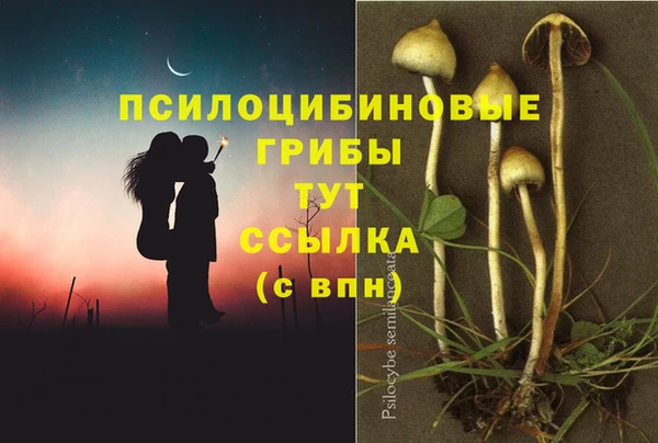 эйфоретик Алексин