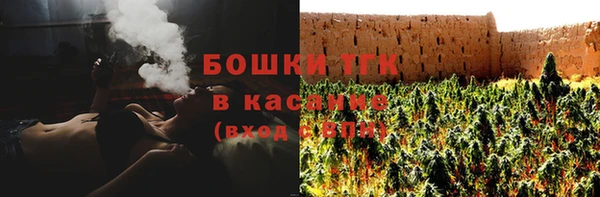 PSILOCYBIN Алексеевка