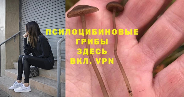 эйфоретик Алексин
