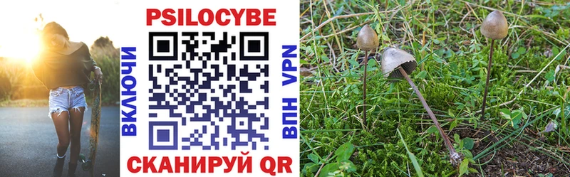 Псилоцибиновые грибы Psilocybe  Белореченск 